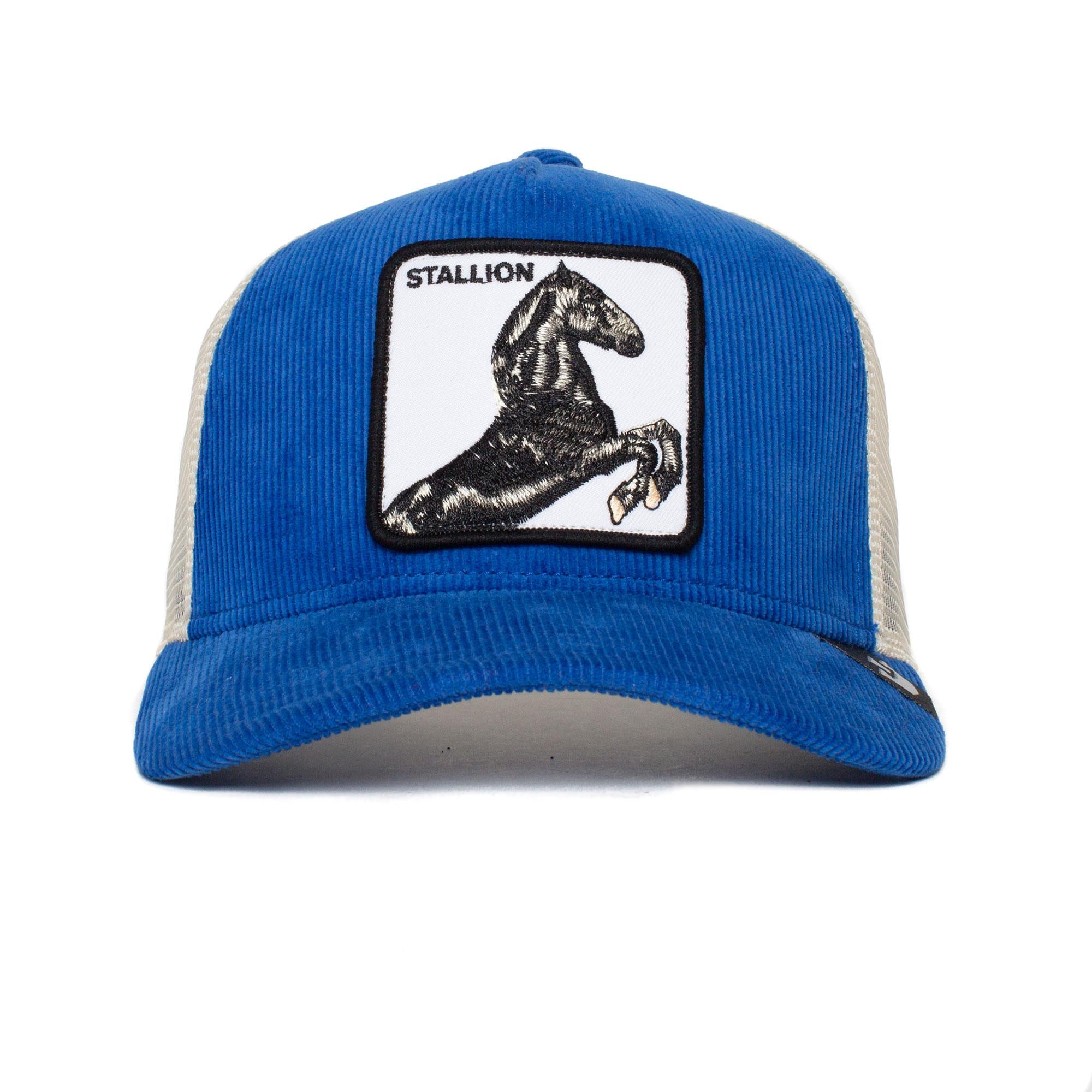 Goorin Brothers Trucker Cap - Blue Sly Stallione