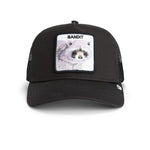 Load image into Gallery viewer, Goorin Brothers Trucker Cap - Bandit Trucker Void
