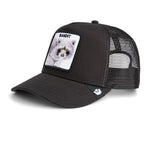 Load image into Gallery viewer, Goorin Brothers Trucker Cap - Bandit Trucker Void

