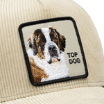 Load image into Gallery viewer, Goorin Brothers Trucker Cap - Corduroy Top Dog Scout
