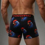 Load image into Gallery viewer, Thunderwear - Le Coq Men's Sport Quick Dry Trunks
