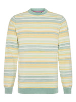 Load image into Gallery viewer, A Fish Named Fred - Striped Cotton Knit in Mint/Lemon
