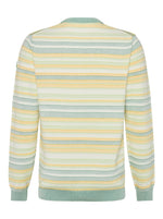 Load image into Gallery viewer, A Fish Named Fred - Striped Cotton Knit in Mint/Lemon
