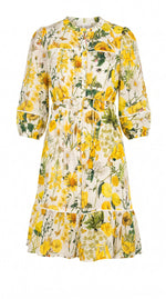 Load image into Gallery viewer, Armalea Delilah Dress - Print
