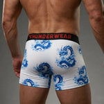 Load image into Gallery viewer, Thunderwear - Dragons Den Men's Sport Quick Dry Trunks
