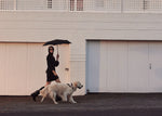 Load image into Gallery viewer, Blunt Neo Umbrella - Ink Black
